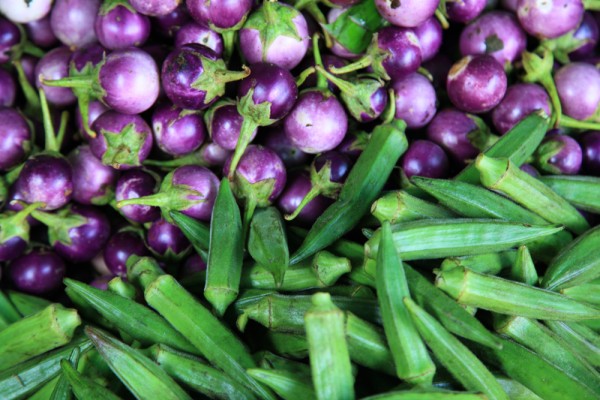 thai aubergines