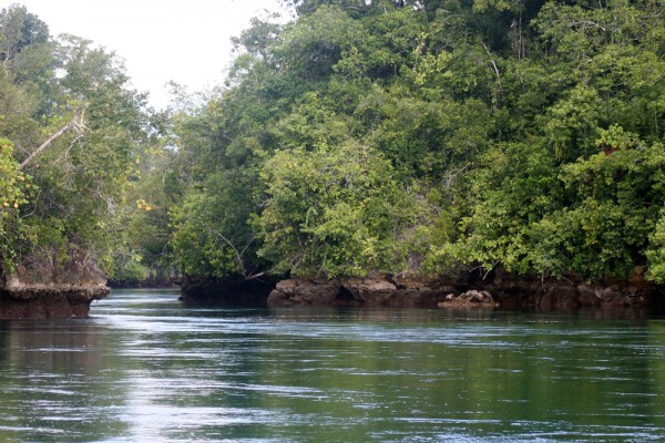 Diving in these "lake-like" surroundings was fantastic.